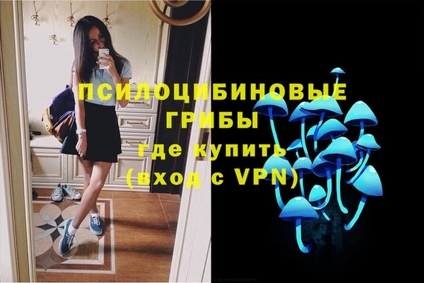 амф Приозерск